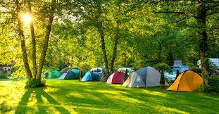 Pourquoi le référencement naturel peut aider votre camping ?